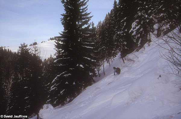 image11.jpg