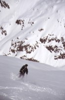 image11.jpg
