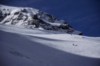 image14.jpg
