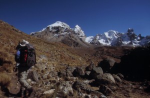 image36.jpg