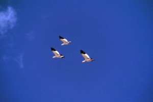 image56.jpg